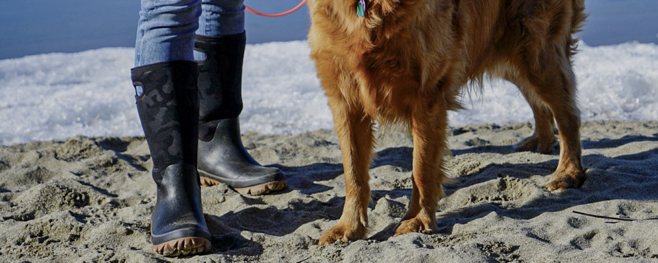 Image features the women's Whiteout boot with a golden retriever.