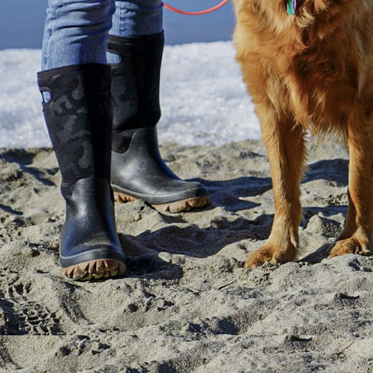 Click to shop women's Whiteout styles. Image features the Whiteout camo with a golden retriever.