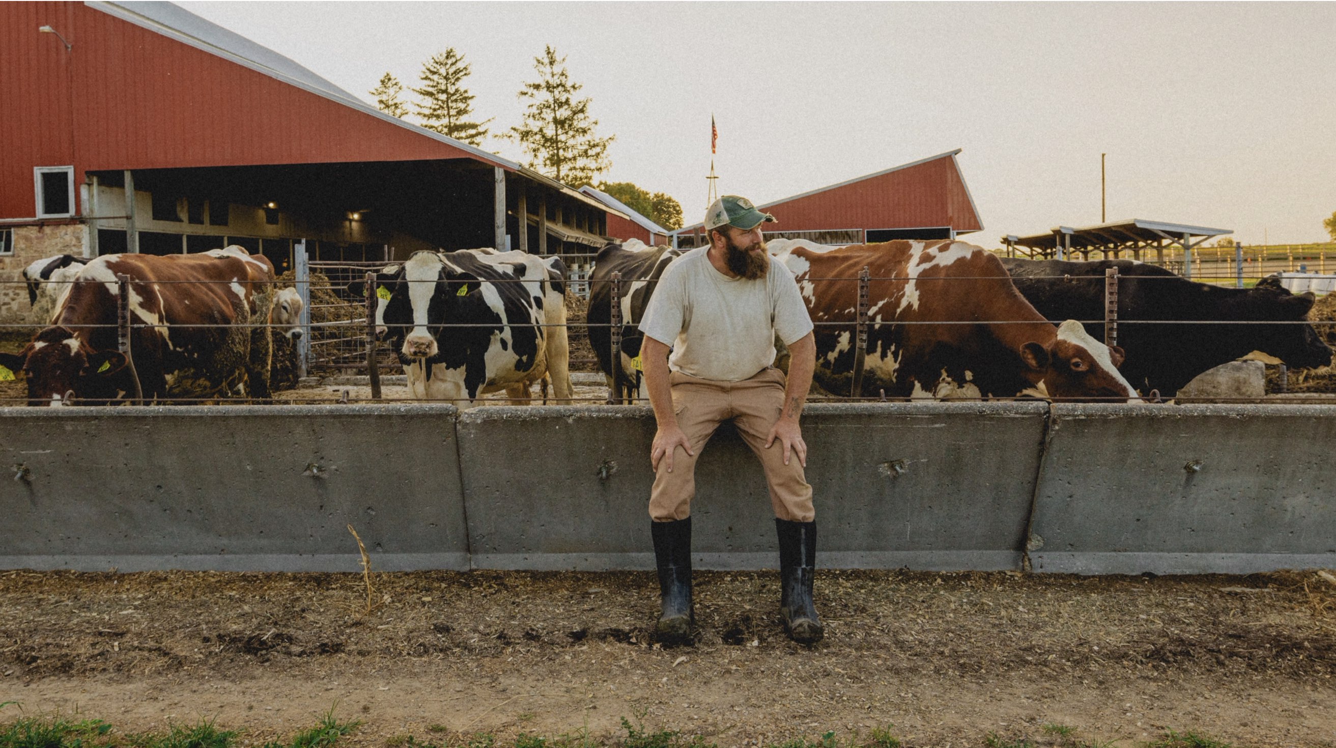 Click to shop the men's classic seamless. Image features a man sitting in front of a cow pasture.