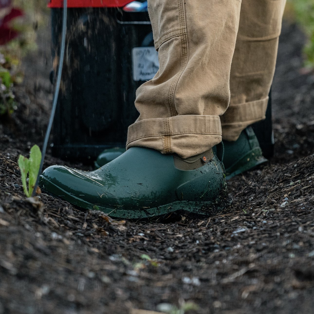 Shop our Men’s Sauvie Slip On yard & garden boots in green featuring the style on a mulched garden bed.