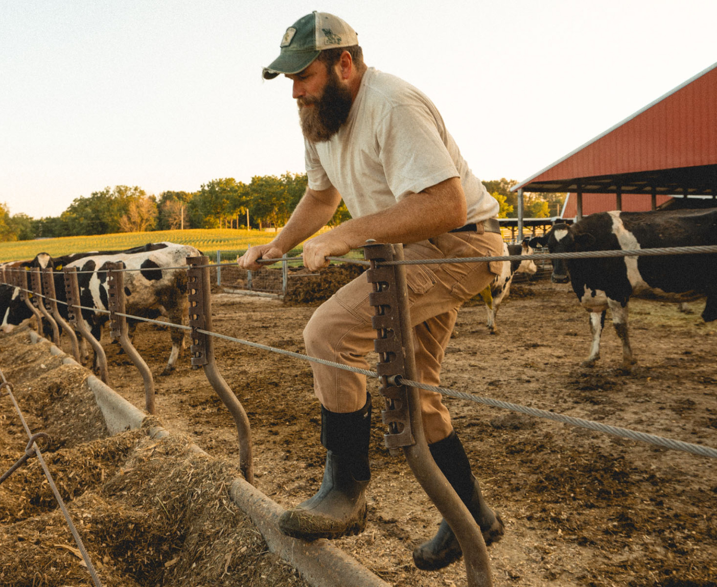 Shop our Men's Seamless boots. The image shown is a farmer getting ready to hop over a cattle wired fence wearing the Classic Seamless tall.