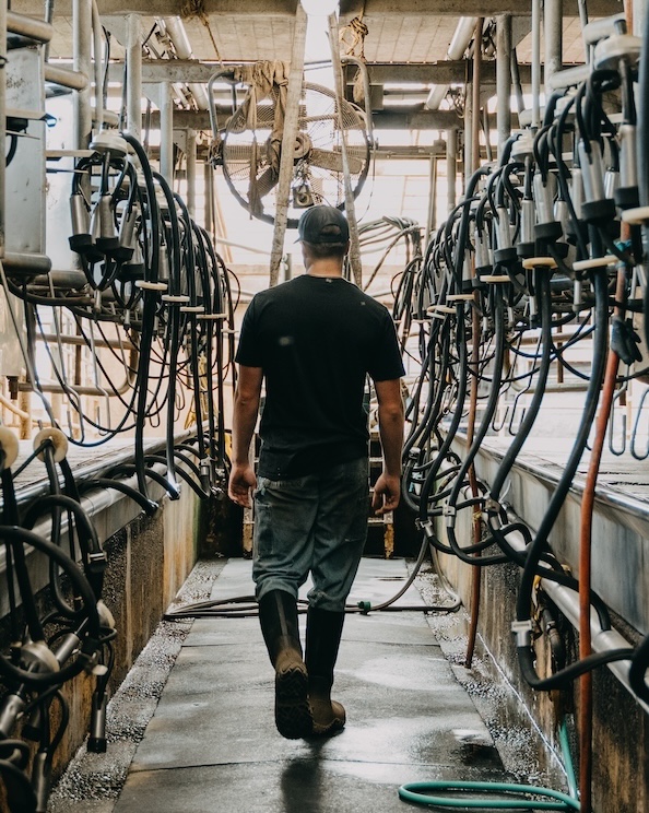 The image shown is a man walking through his cow facility. Shop our new men’s seamless boots.