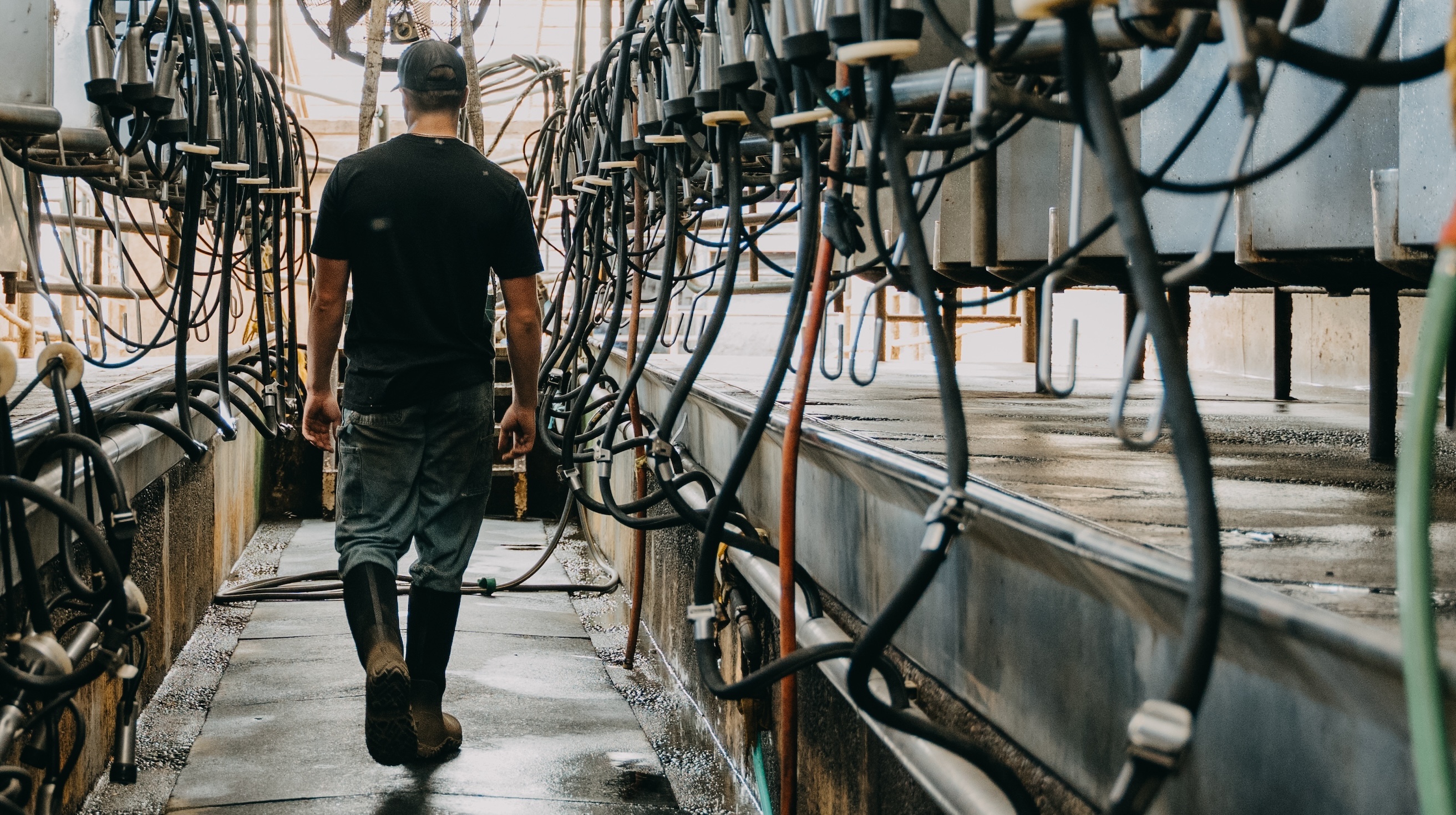 The image shown is a man walking through his cow facility. Shop our new men’s seamless boots.